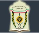 آغاز جذب نیرو در پلیس پیشگیری تهران بزرگ آغاز جذب نیرو در پلیس پیشگیری تهران بزرگ