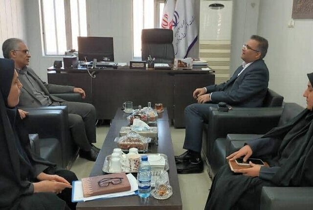 ابراهیمی: فعالان تبلیغاتی بوشهر مطابق با استانداردها گام برمی‌دارند