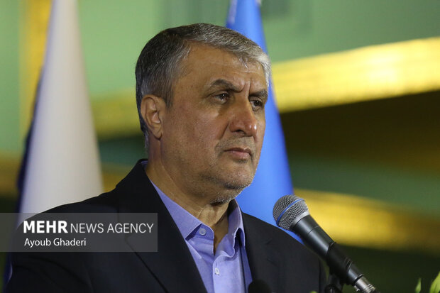 اسلامی: درمان، سلامت و امنیت غذایی اولویت‌ سازمان انرژی اتمی ایران است