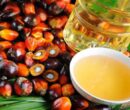 انتقاد از تبلیغات روغن بدون پالم در تلویزیون