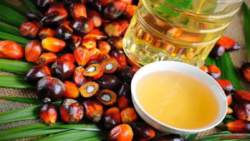 انتقاد از تبلیغات روغن بدون پالم در تلویزیون