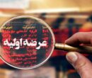 عرضه اولیه اروند در راه بازار سهام / جزئیات و میزان نقدینگی مورد نیاز اروند