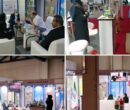 چشم انداز پگاه؛ ثبت رکورد جدید صادراتی چشم انداز پگاه؛ ثبت رکورد جدید صادراتی