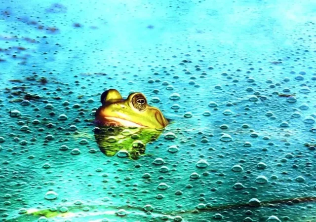 اثر قورباغه آب‌پز؛ وابستگی به هوش مصنوعی توانایی ذهن را به مرور کاهش می‌دهد