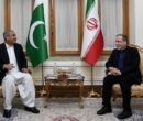 دیدار وزیر کشور پاکستان با عراقچی دیدار وزیر کشور پاکستان با عراقچی