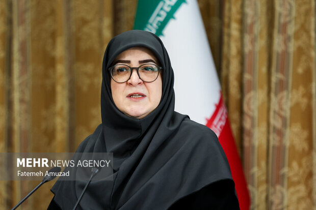 مهاجرانی: نخستین محموله ۱۰۰ هزار تنی محصولات کشت فراسرزمینی وارد شد