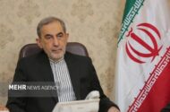 ولایتی: ملوانان آمریکا ابزار نمایش برای پیروزی ترامپ در انتخاب هستند