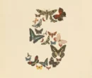 آنتروپیک Claude Fable 5 عرضه شد؛ اولین نسخه عمومی از مدل جنجالی Mythos آنتروپیک Claude Fable 5 عرضه شد؛ اولین نسخه عمومی از مدل جنجالی Mythos