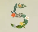 آنتروپیک از Claude Sonnet 5 رونمایی کرد؛ مدلی قدرتمند برای هدایت ایجنتها آنتروپیک از Claude Sonnet 5 رونمایی کرد؛ مدلی قدرتمند برای هدایت ایجنتها